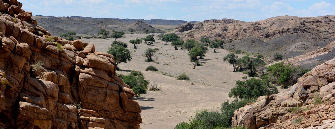 Хайлааст хөв